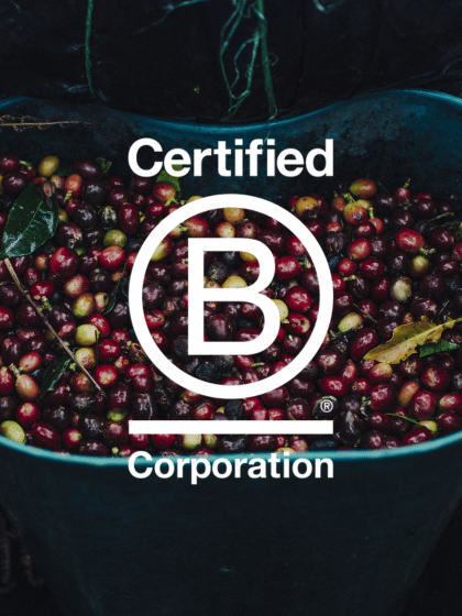 kaffebær med b corp logo 